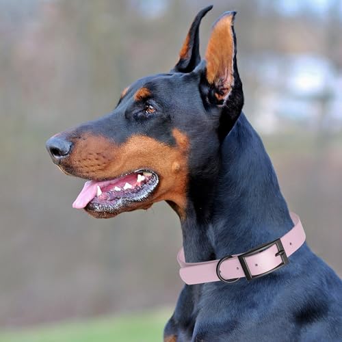 Biothane Waterproof Dog Collar Strong Coated Nylon Webbing with Black Hardware Odor (W1/2" x L9-12" / Pastel Purple)