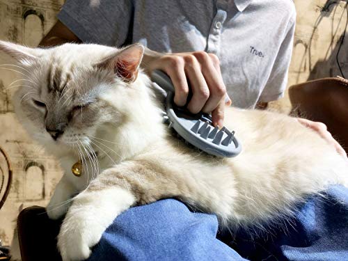 Cat Brush Shedding Grooming (silver gray)