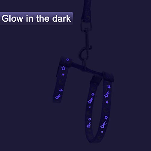 Cat Harness and Leash Set for Outdoor Walking Escape Proof Adjustable Soft Safety Strap with Golden Star and Moon Design Glow in The Dark Purple XL (Purple / XL)