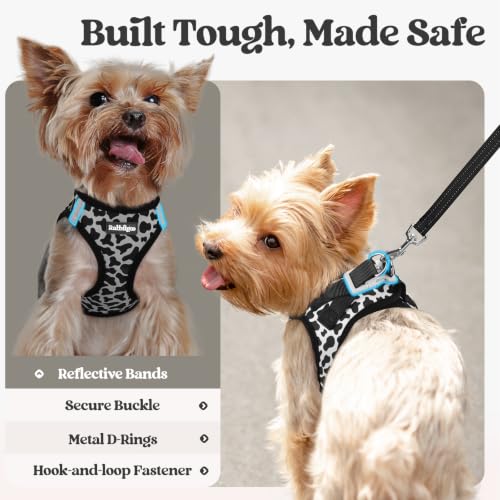 Dog Harness Small Sized and Leash Set (Black White Cow / S (chest: 15.1 - 16.5"))