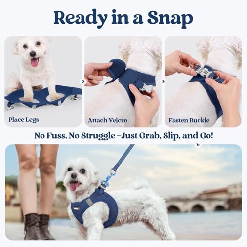 Dog Harness Small Sized and Leash Set (Navy Blue / S (chest: 15.1 - 16.5"))
