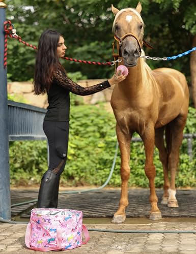 Horse Grooming Kit (Pink)