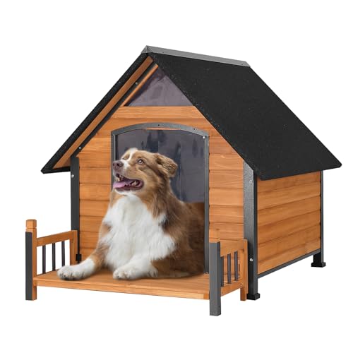 Outdoor Dog House with All