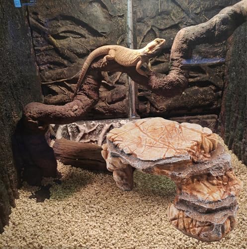 Turtle Basking Climbing Platform Resin Basking Platform for Turtles Aquarium Fish Tank Ornament Reptile Climbing Ramp Decorations Tortoise (9.45X6.69X3.15in)