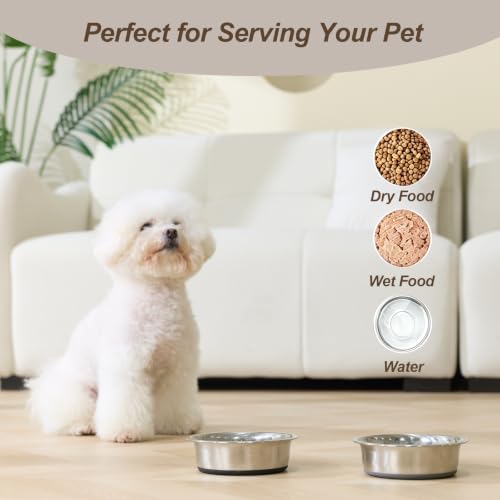 Dog Bowls Food Grade Stainless Steel for Food and Water (Gray / 2 Cup)