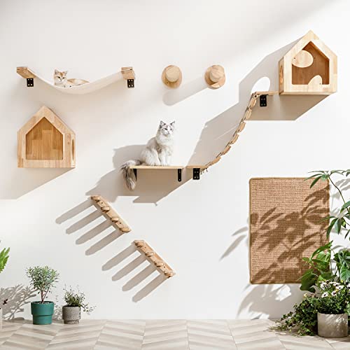 Cat Wall Hammock