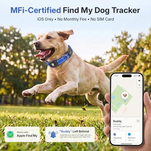 GPS Dog Collar with Tracker (Blue / XS(10.5''-13.5''))