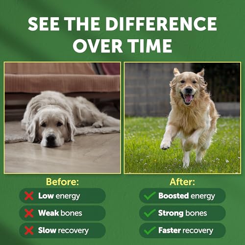 Bones & Energy Supplement Powder for Adult Dogs