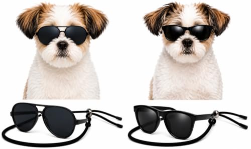 G029 Dog Pet Aviator Pilot Costume Sunglasses Small Breed (Small, up to 15 lbs, 2-pk Aviator Black+ 80s BLK)