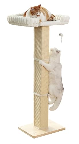Cat Scratching Post with Large Window Perch (extra-large)