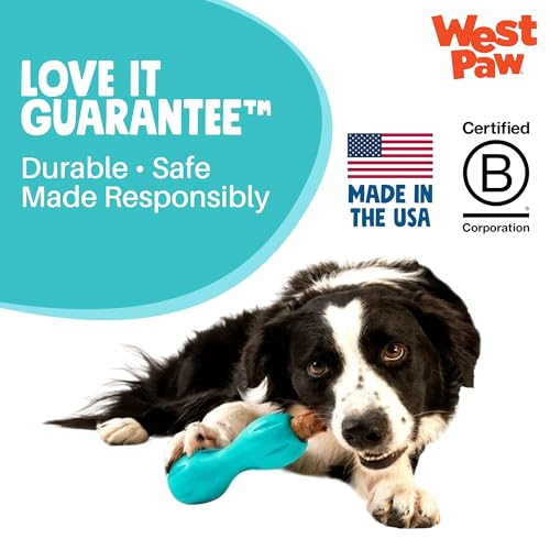 Qwizl Durable Zogoflex Dog Puzzle Toy for Mental Stimulation (Small / Geranium)