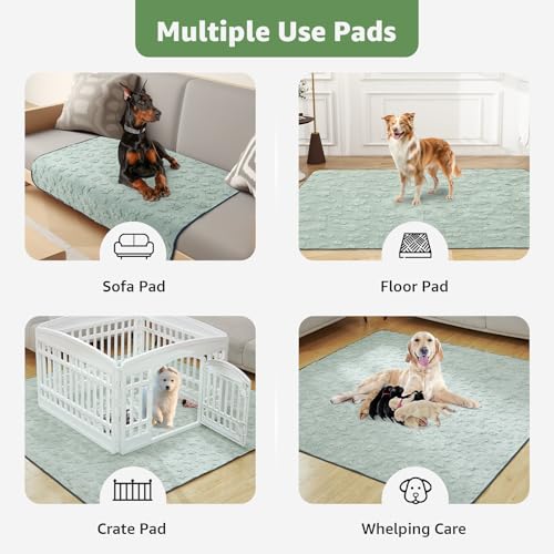 2 Pack Extra Large Reusable Pee Pads for Dogs (Green Dog Element / 54"x54"(Pack of 2))