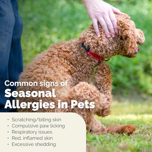 Dermabliss Hydrocortisone Anti Itch Spray for Dogs & Cats (8oz)