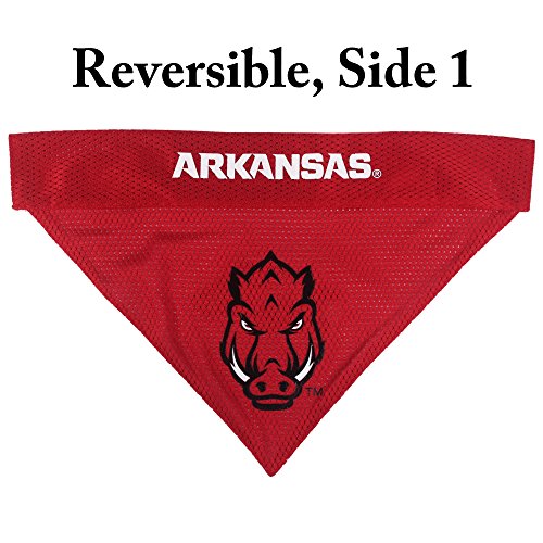 Collegiate Pet Accessories (Large/X-Large / Arkansas Razorbacks)