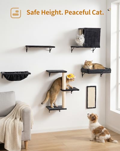 Heavy Duty Cat Wall Shelves for Large Cats