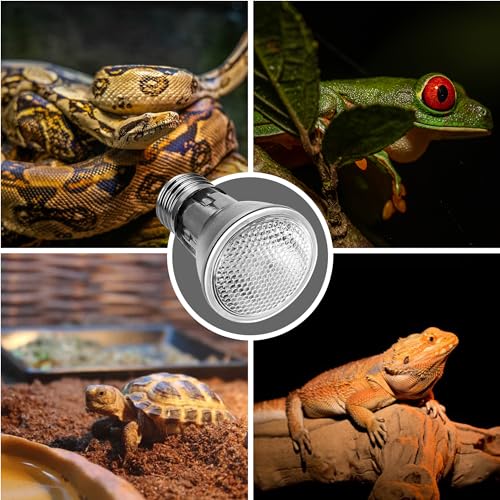 Reptile Heat Bulb (Warm Bulb 75w / 2 Pack)