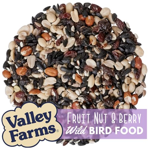 Fruit Nut & Berry 4 LB 2 (4 Pound (Pack of 2))