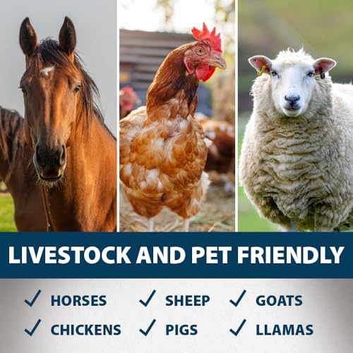 Stock Tank Defense Livestock Water Trough Cleaner Treatment (24 Tablets)
