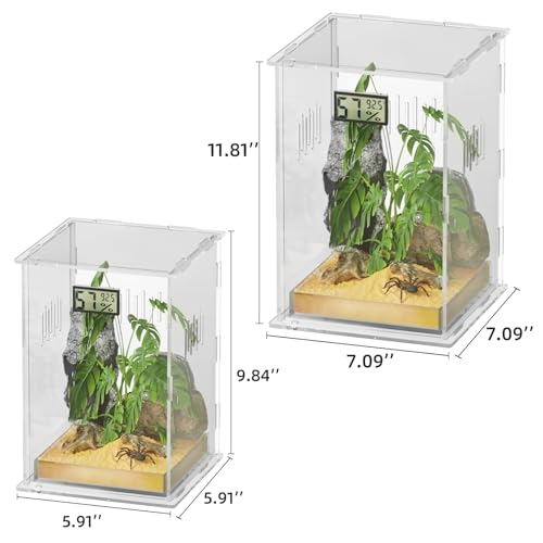 Reptile Terrariums (Arboreal--L (Tray))