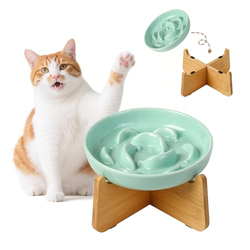 Elevated Ceramic Slow Feeder Cat Bowl (Green Elevated (Bamboo) / 3.7"H Elevated (Bamboo))