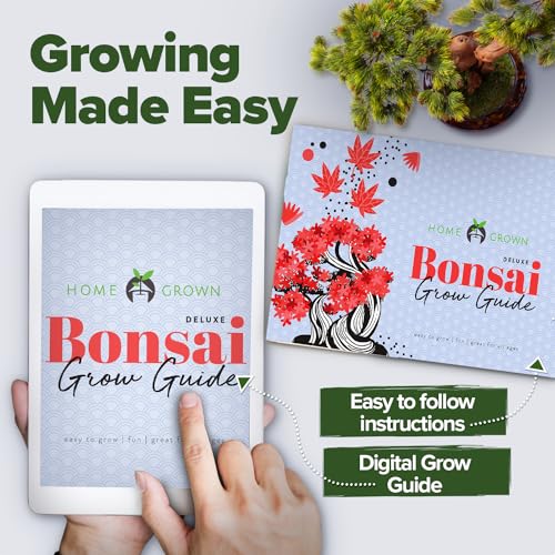 Bonsai Tree Starter Kit