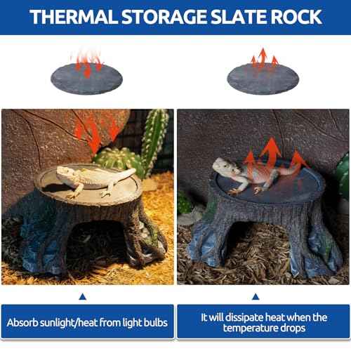 Bearded Dragon Basking Platform (Extra Large)