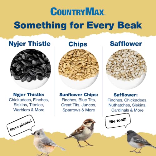 20LB Nyjer Seed for Finches (Nyjer Thistle / 20 Pound (Pack of 1))