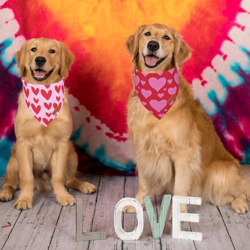 Pink Valentine Dog Bandana (X-Large / Valentine)