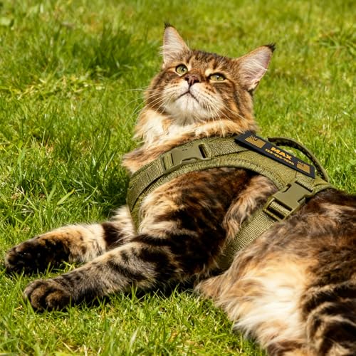 Tactical Cat Harness Olive Green Large Cats Custom Patch 12