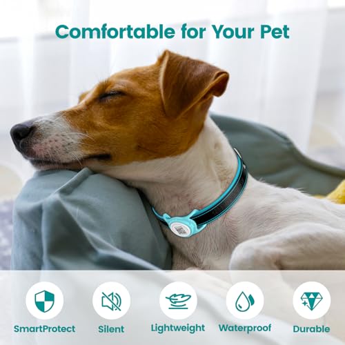 Smart Pet Tracker with QR ID Holder