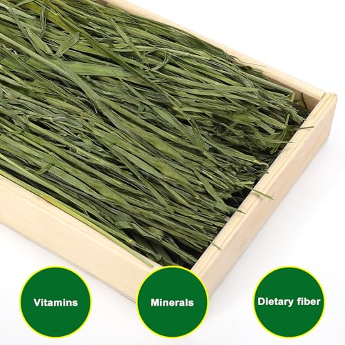 Premium Dust Free Oat Hay 1.05lbs for Small Pets (1.05 Pound (Pack of 1))