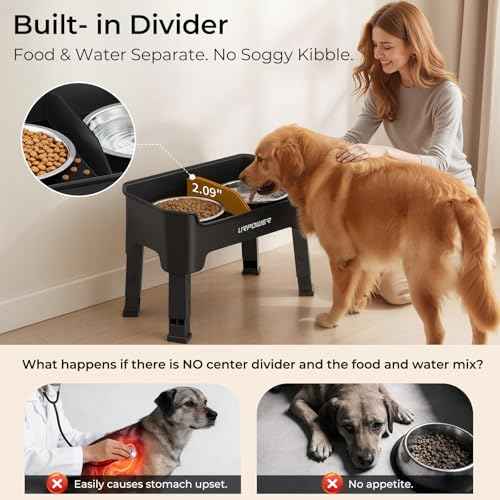 Mess Proof Elevated Dog Bowls (Black / Medium)