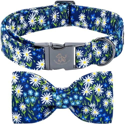 Blue Dog Collar (Daisy / X-Small (Pack of 1))