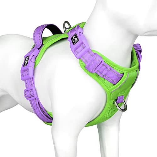 No Pull Dog Harness (Green Base & Purple Straps / Small)