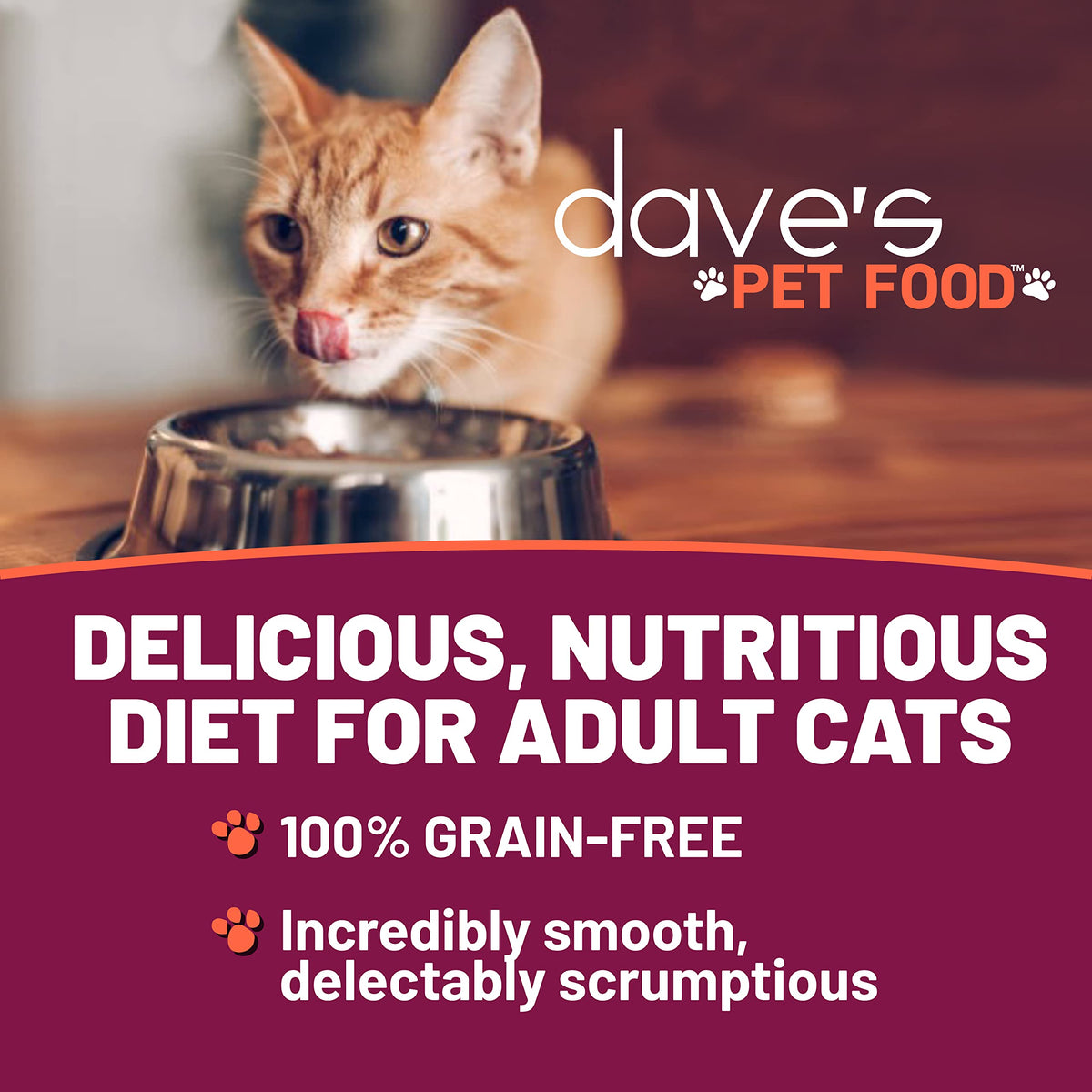 Grain Free Wet Cat Food (2.8 Ounce (Pack of 24))