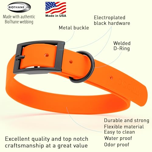 Biothane Waterproof Dog Collar Strong Coated Nylon Webbing with Black Hardware Odor (W1" x L22"-25" / Hunter Orange)