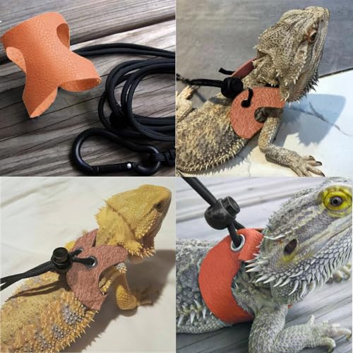 Bearded Dragon Travel Backpack with Harness and Leash Set (Pink)