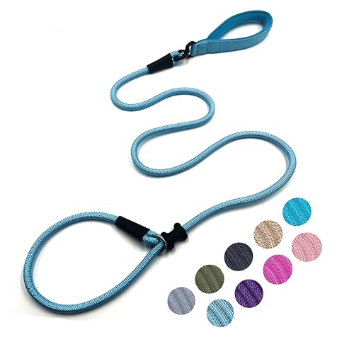 Slip Lead Dog Leash (1/2"×6ft / Light Blue)