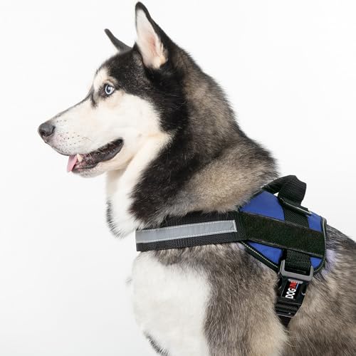 Dog Harness Reflective No (Blue / Girth 33" to 46")