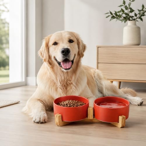 Ceramic Cat Dog Bowl Set with Stand (Rust Red / 850ML*2)