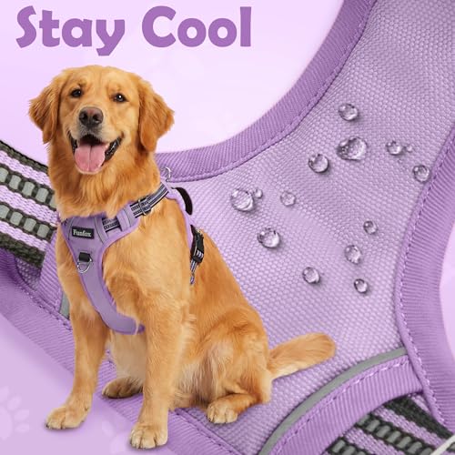 Dog Harness No Pull (Purple / X-Large)