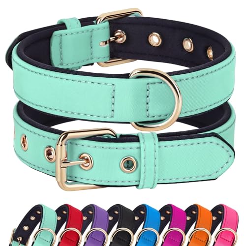 Soft Padded Dog Collars for Medium Dogs (Green / L: Fit 13-17" Neck)