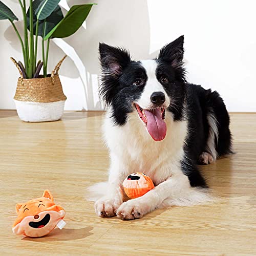 Dog Chew Toy with Ball