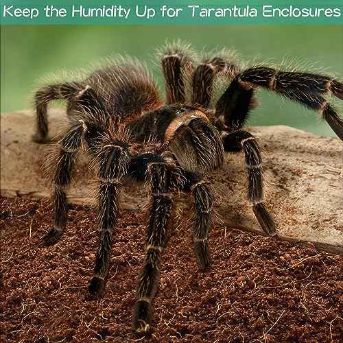 6 Pack Compressed Coconut Fiber Substrate for Reptiles (6 pack)