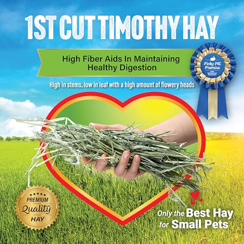 1st Cutting Timothy Hay for Rabbits & Guinea Pigs (2 Pound (Pack of 1))