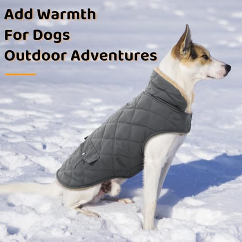 Dog Winter Coat (Medium / Grey)