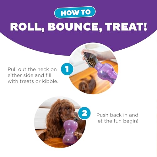 Double Snoop Interactive Treat Dispensing Dog Toy (Large)