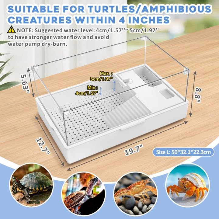 Small Turtle Tank Kit