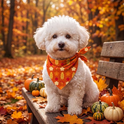 100 Pcs Fall Dog Bandanas Bulk Autumn Pumpkin Maple Leaves Pattern (19.7 x 13.8 x 13.8 Inch / Fall)