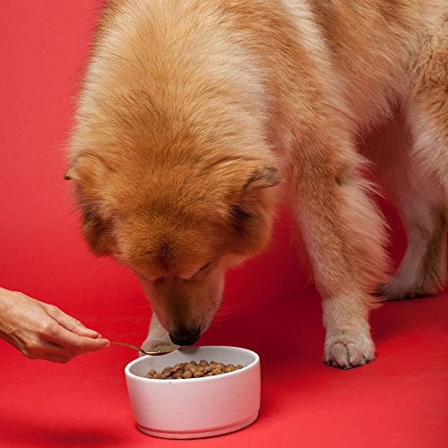 Senior Dog Supplement 1lb Bag (1 Pound (Pack of 1))